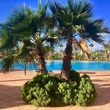 Fuerteventura Apartments 코라레호 외부 사진