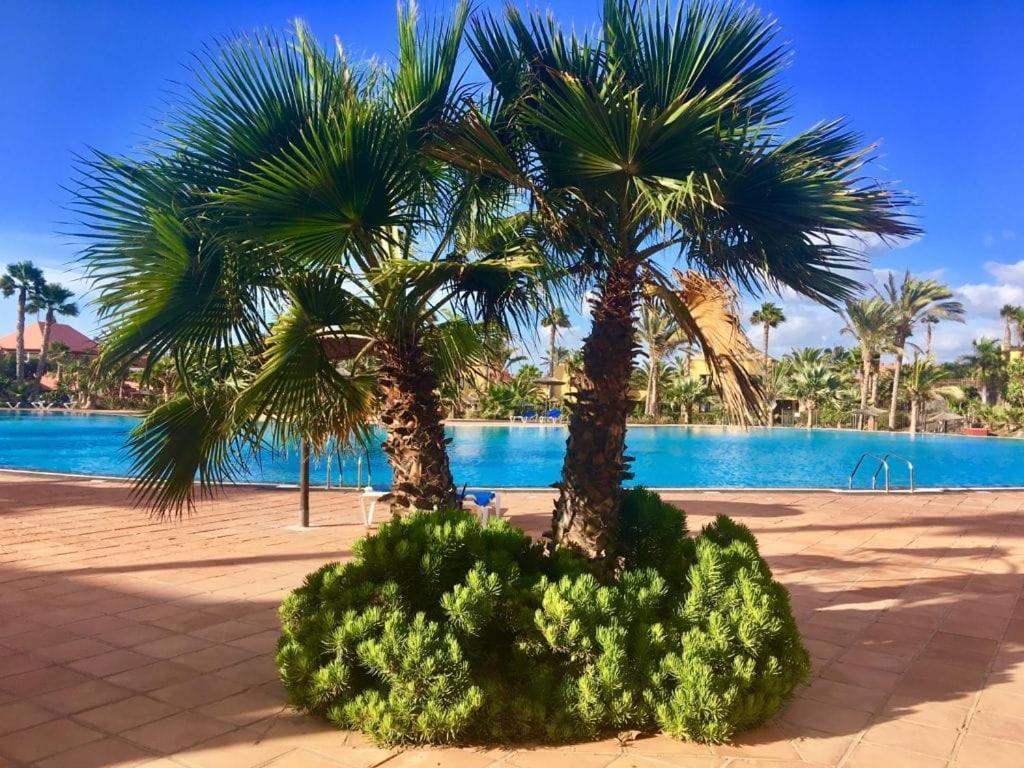 Fuerteventura Apartments 코라레호 외부 사진