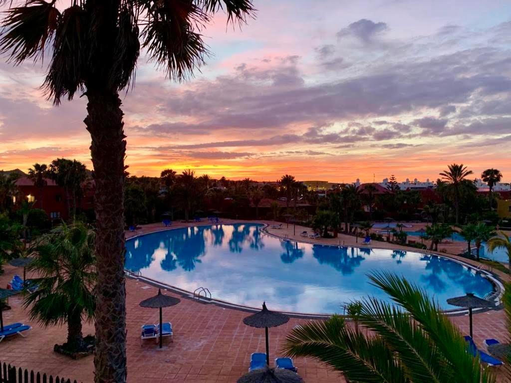 Fuerteventura Apartments 코라레호 외부 사진