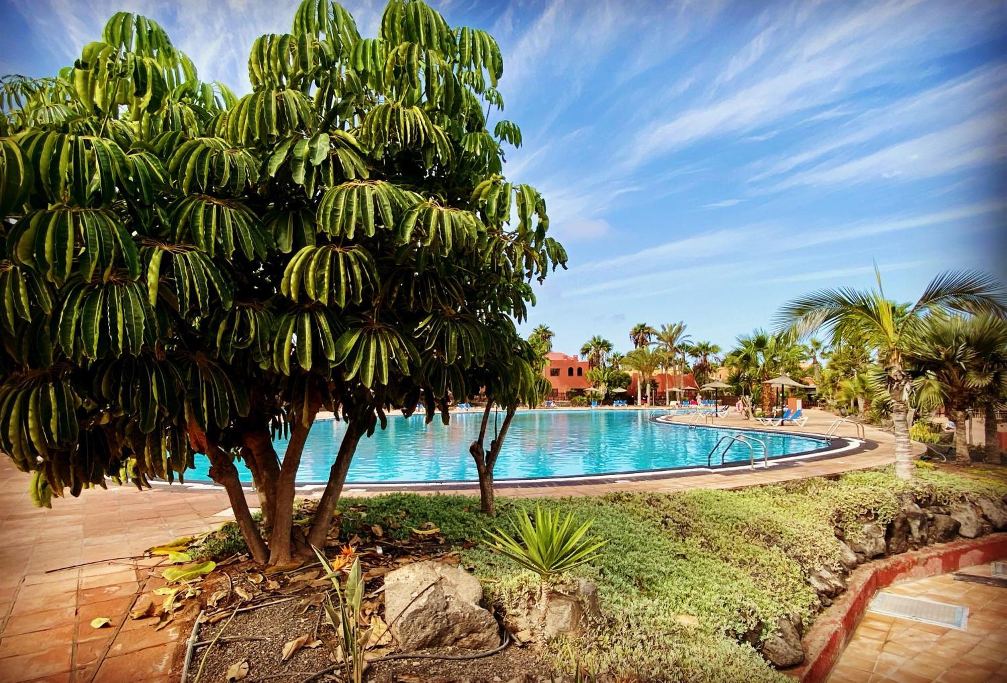 Fuerteventura Apartments 코라레호 외부 사진