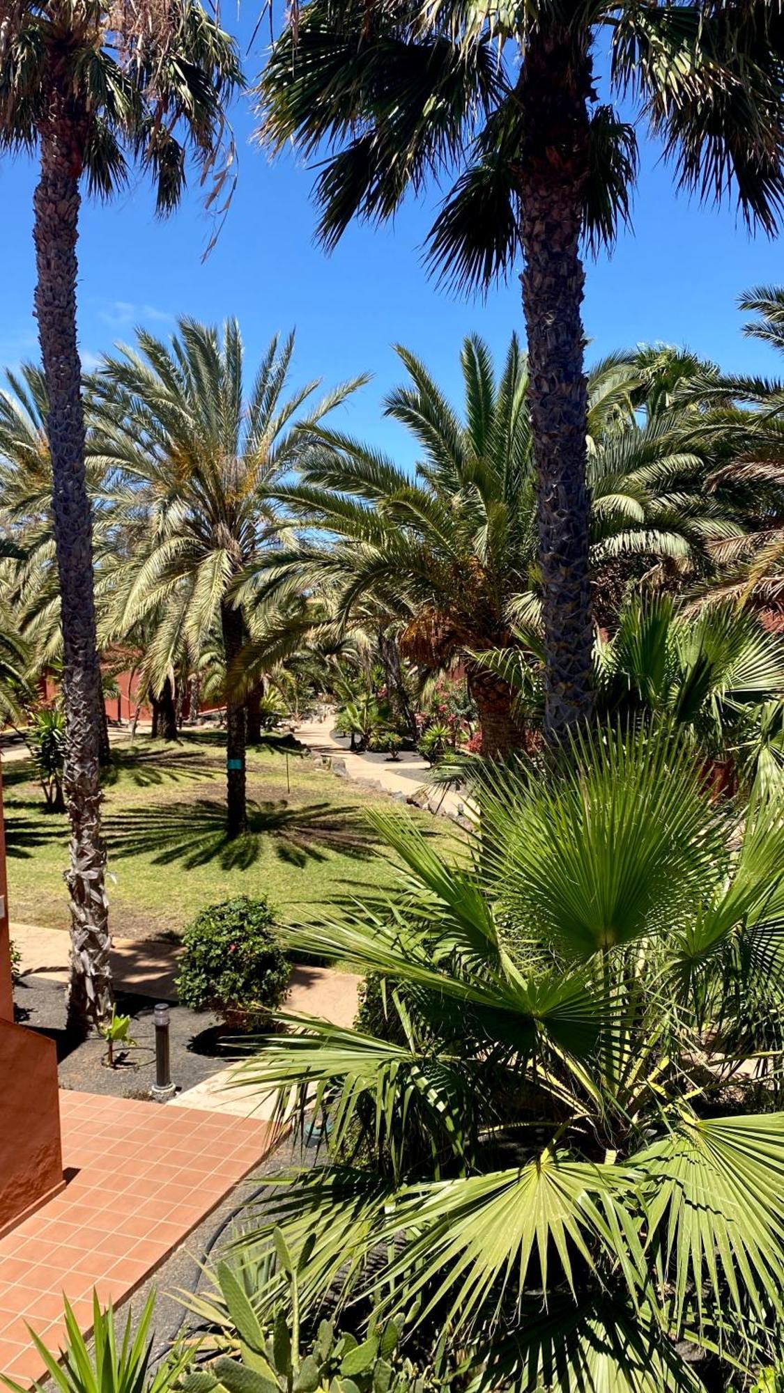 Fuerteventura Apartments 코라레호 외부 사진