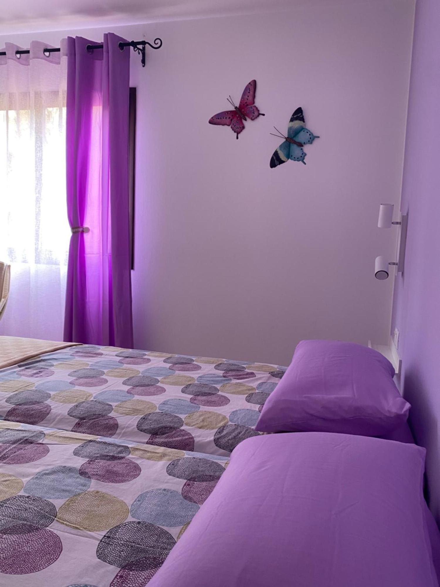 Fuerteventura Apartments 코라레호 외부 사진